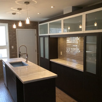 Downtown Toronto Modern Kitchen