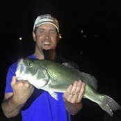 Rob Whites billede