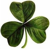 Colene Belli's photo