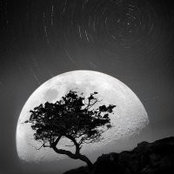 Kim Moon's photo