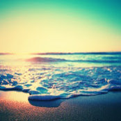 Ellis Stock's photo