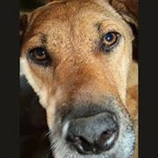 Joy McManus's photo