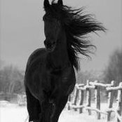 Kellie Duckworth's photo