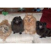 Anne Papadopoulos's photo