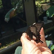 Emma Gutierrez's photo