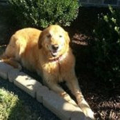 Mary N Alan Proctor's photo