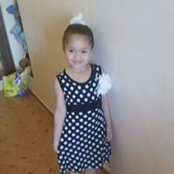 Yasser Ibrahim's photo