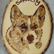 Photo de Shorty Corgi