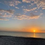 Michelle Maas's photo