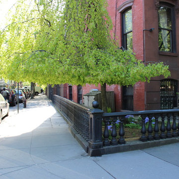 Underneath the Weeping Beech