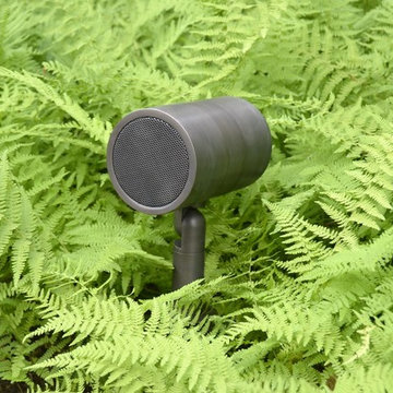 Coastal Source Modulus Speaker