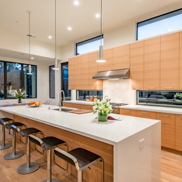 Contemporary Kitchen