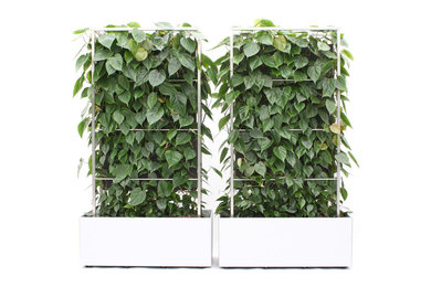 PLANT-ED-WALL™- Grüne Wände und Paravents