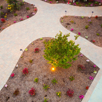 Ranch Style Home Front Yard