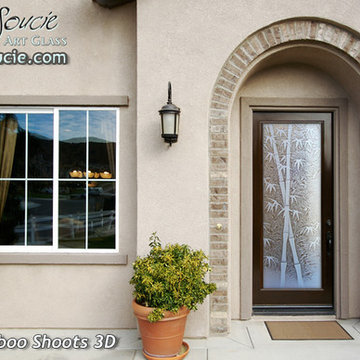 Glass Front Doors - Exterior Glass Doors - Glass Entry Doors Bamboo Shoots 3D