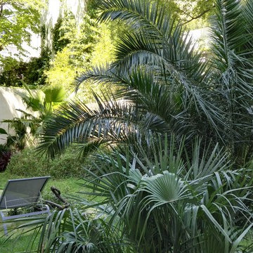 Réalisation d'un Jardin de Ville