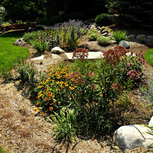 Rain Garden Ideas