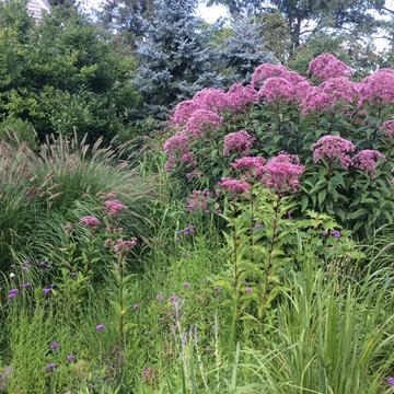 Meadow Planting, Westport CT