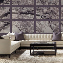 Living Room Ideas
