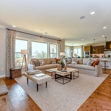 Hampton Model at Habersham