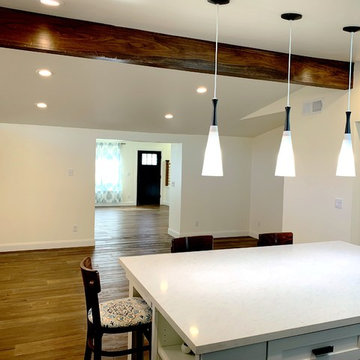 Sunnyvale Full Remodel