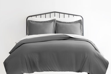 Inspiration for a modern bedroom remodel in Tampa