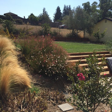 Drought Tolerant Landscapes