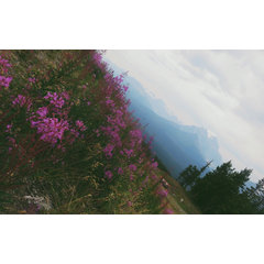 Juwl.s