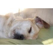 Brenda Calhoun Peterson's photo