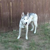Mark Crull's photo