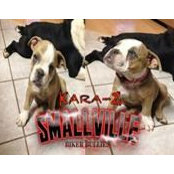 Foto von Smallville-Biker Bullies
