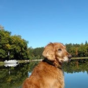 Josie Sabrowsky's photo