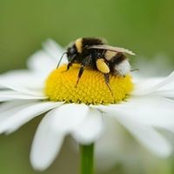 Iona Malcolm's photo