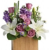 Flower Bin's photo