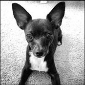 Laura Reed's photo