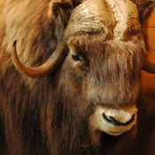 Brad Blackett's photo