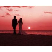 Carmen Lam's photo