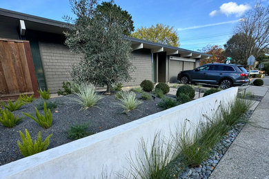 Photo of a mid-century modern landscaping in San Francisco.