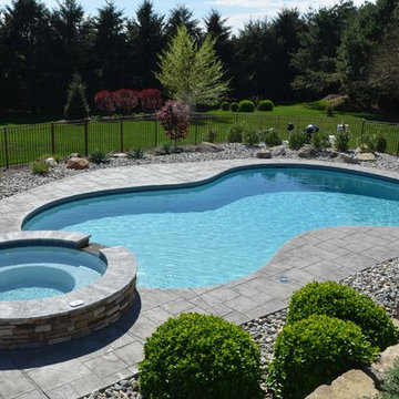Freeform style in-ground salt water pool with raised spa