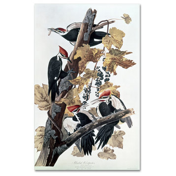 'Pileated Woodpeckers' Canvas Art by John James Audubon