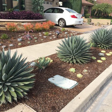 Median