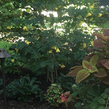 A Shady Secret Garden Lights up the Night