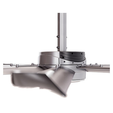 Essence Ceiling Fan