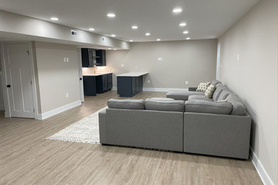 Basement - transitional basement idea