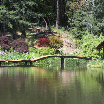 Organic Madrone Bridges