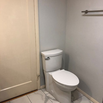 Shoreline Bathroom Remodel