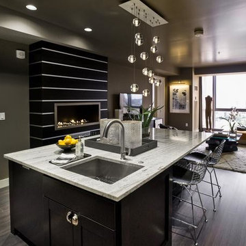 Modern kitchen cabinets Design Remodel