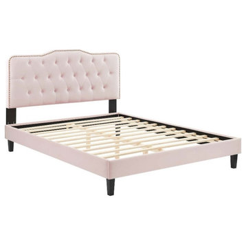 Modway Amber Modern Style Performance Velvet Queen Platform Bed in Pink
