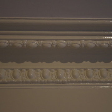 Plaster Crown and Medallion Restoration