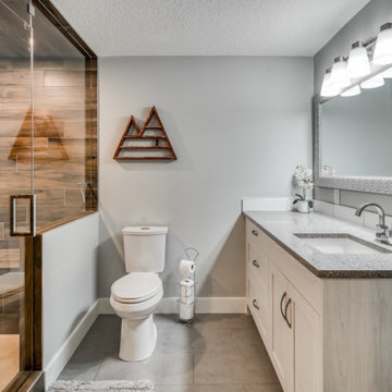 Aspen Basement Development